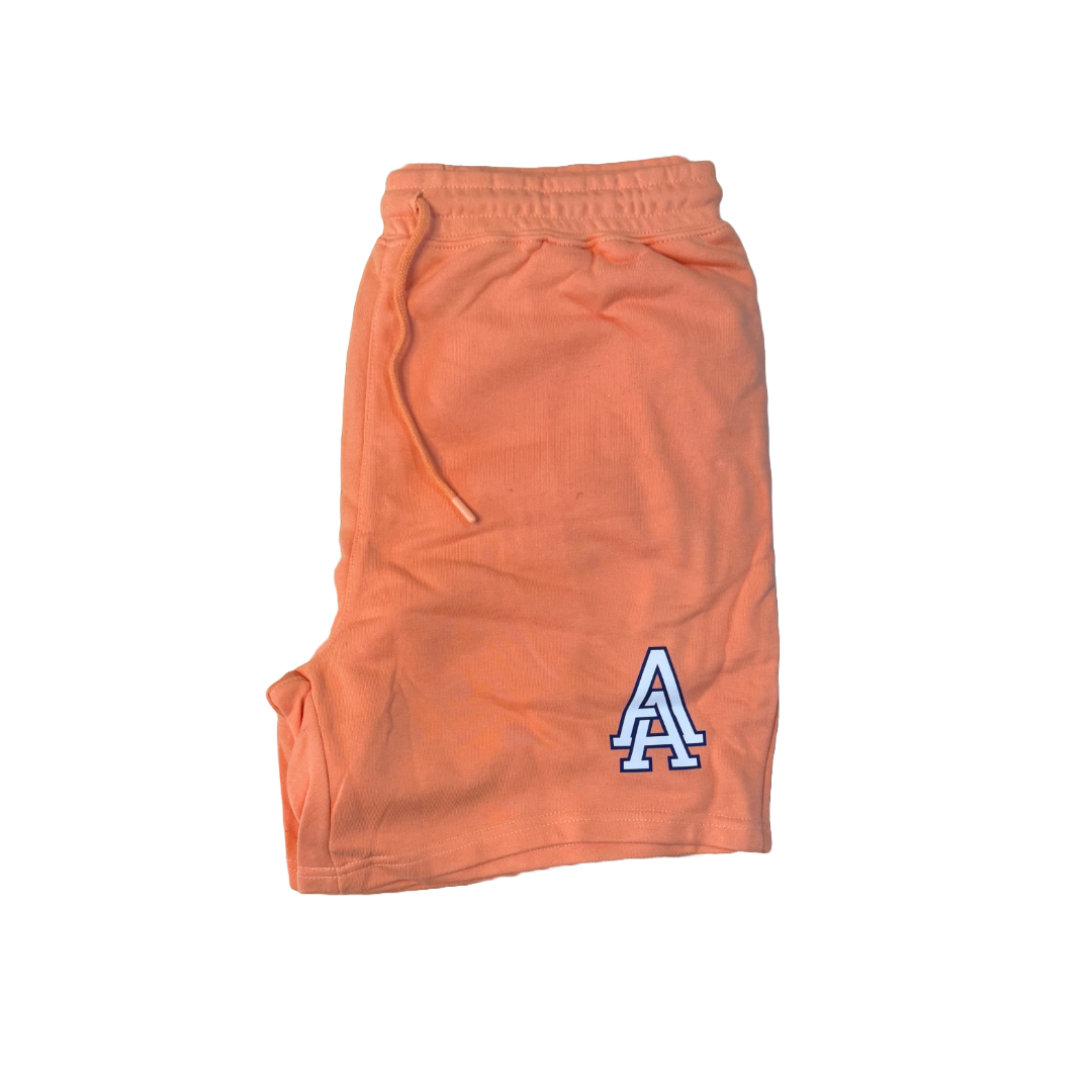 Peach and Navy T shirt+Shorts set