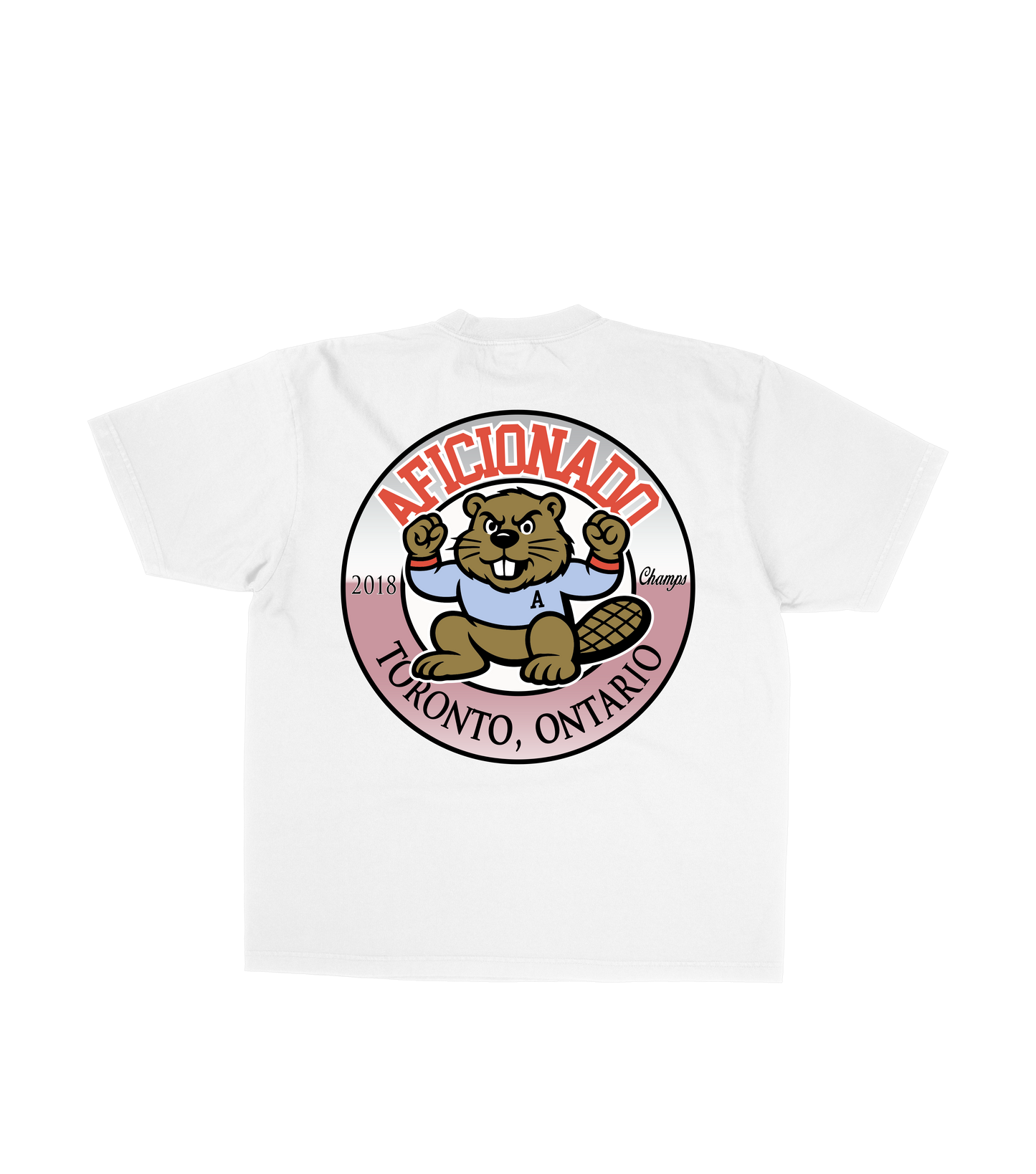 High School Spirit T Shirt
