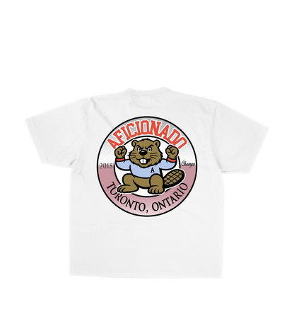 High School Spirit T Shirt